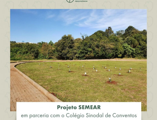 Projeto SEMEAR