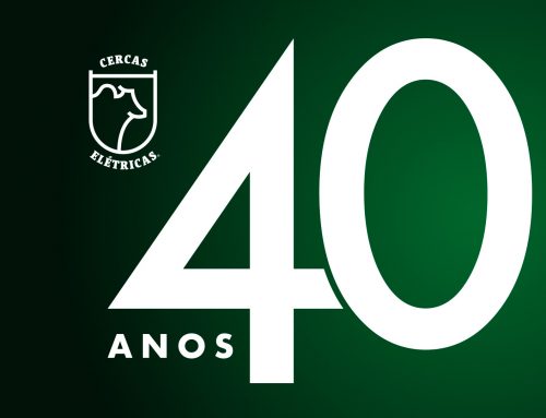 O sucesso mora nos detalhes