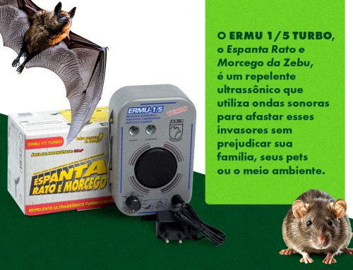 Ratos, morcegos e gambás estão acabando com a sua paz?  É hora de dar tchau!